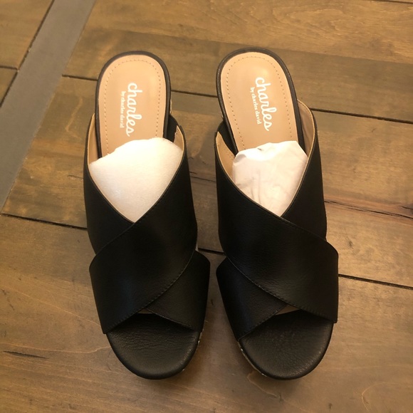 Charles by Charles David Platform Sandals - Picture 3 of 12